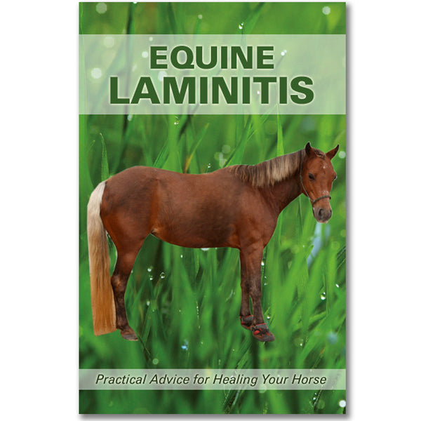 Equine Laminitis Guide