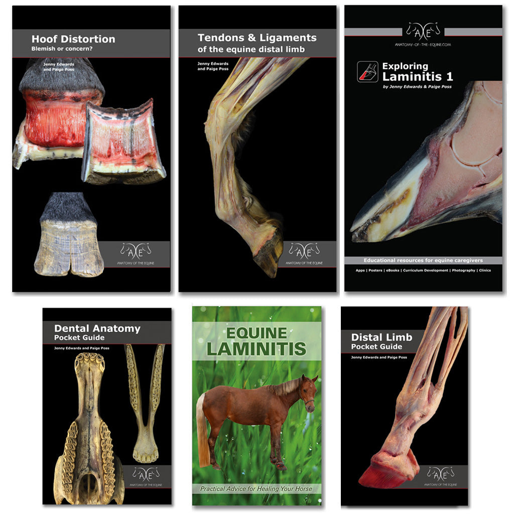 Everything eBook Pack