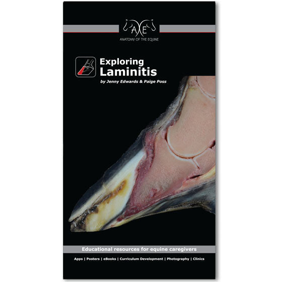 Exploring Laminitis eBook