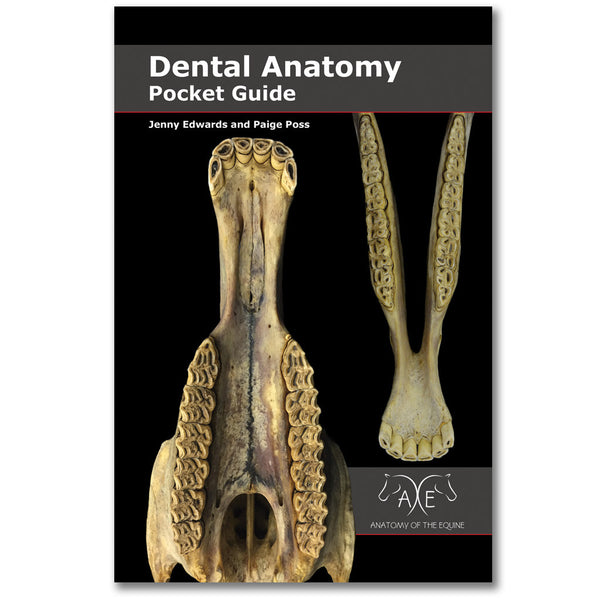 Dental Anatomy Pocket Guide