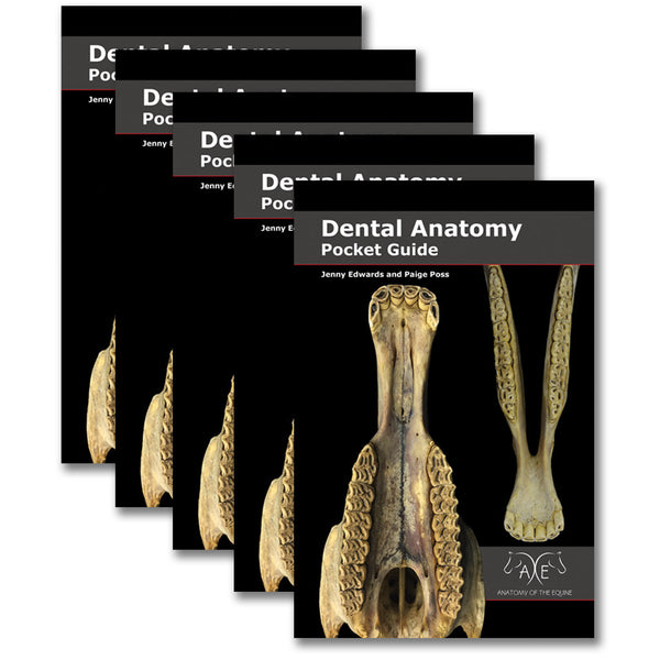 Dental Anatomy Pocket Guide - 5 Pack