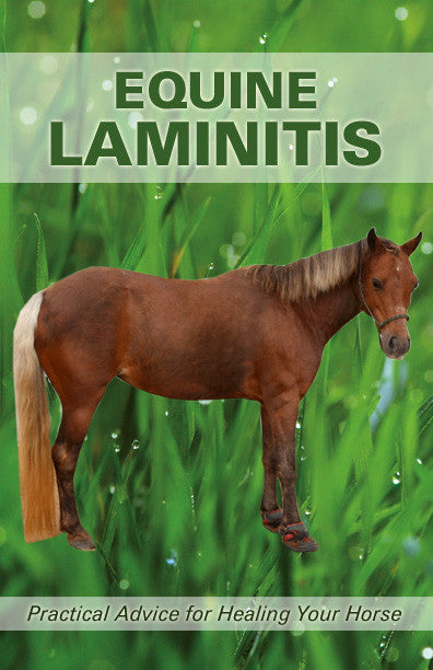 Equine Laminitis eBook